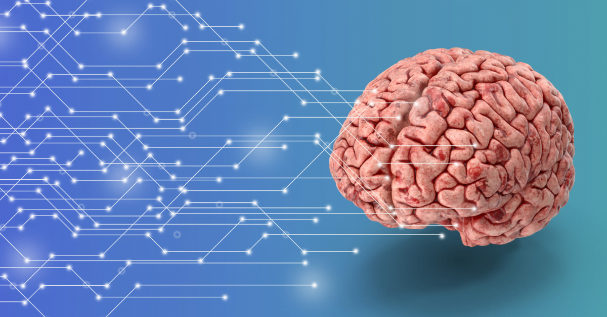 Why Everyone's Talking About Alpha Brain: A Deep Dive into Its Mind-Blowing Benefits