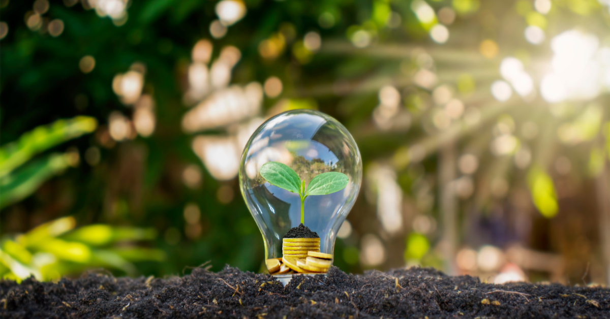 Analyzing the Current Share Price Trends of Indian Renewable Energy Agency