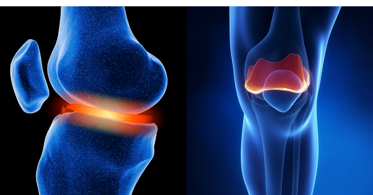 Understanding Cricoid Cartilage Anatomy