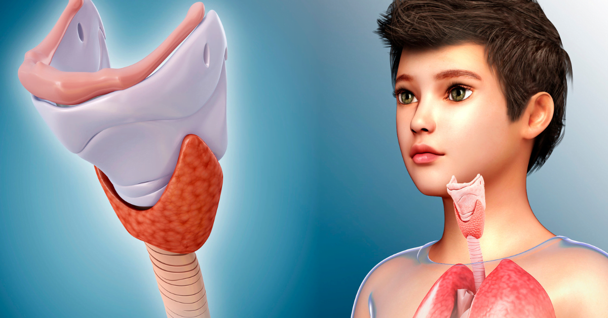 Understanding Cricoid Cartilage Anatomy