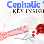 Cephalic Vein: Key Insights