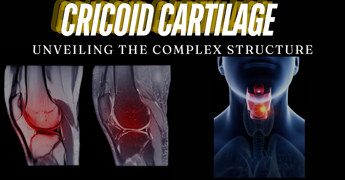 Understanding Cricoid Cartilage Anatomy