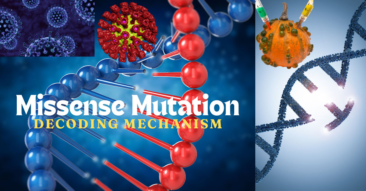 Decoding Missense Mutation Mechanisms