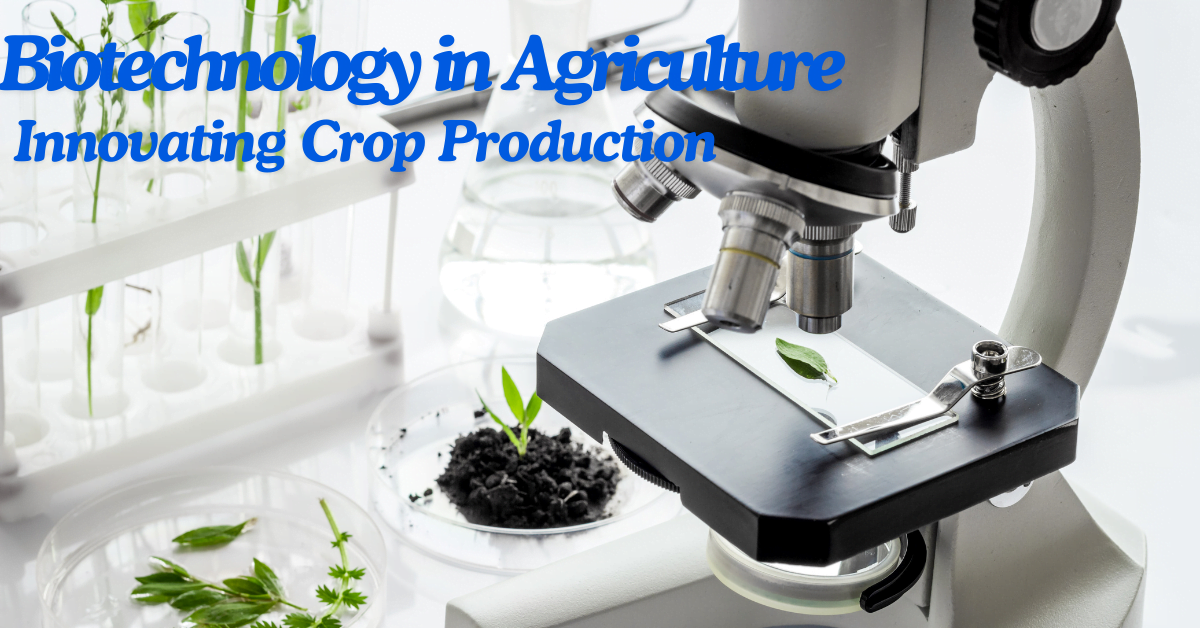 Revolutionizing Agriculture with Biotechnology
