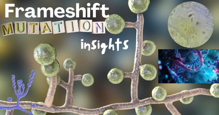 Frameshift Mutation Insights