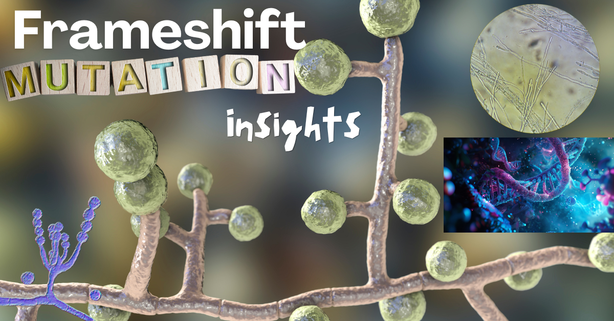 Frameshift Mutation Insights