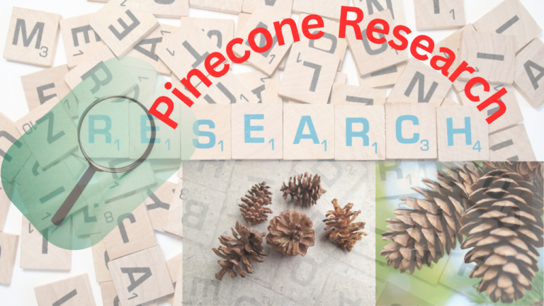 Exploring Pinecone Research Insights