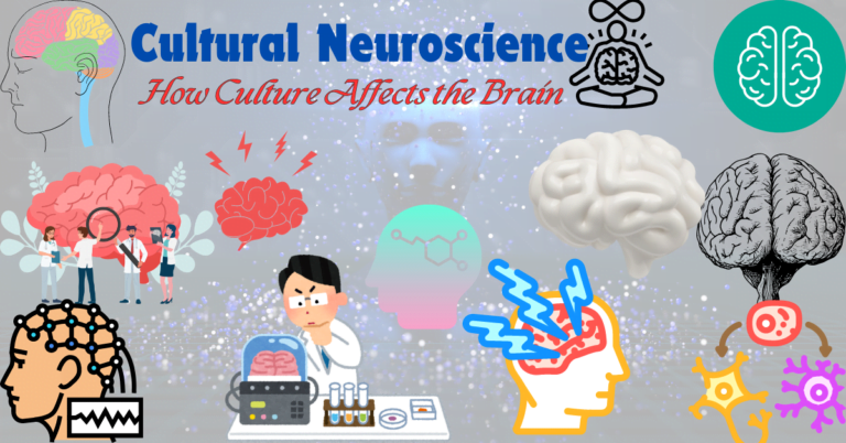 Cultural Neuroscience: Understanding Brain Diversity