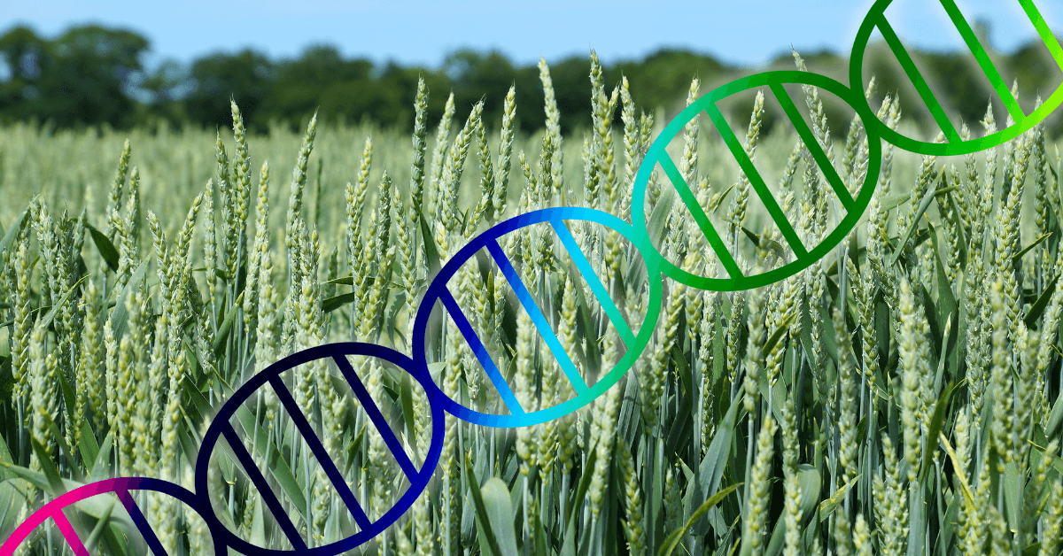 TALENs Technology Revolutionizing Genetics