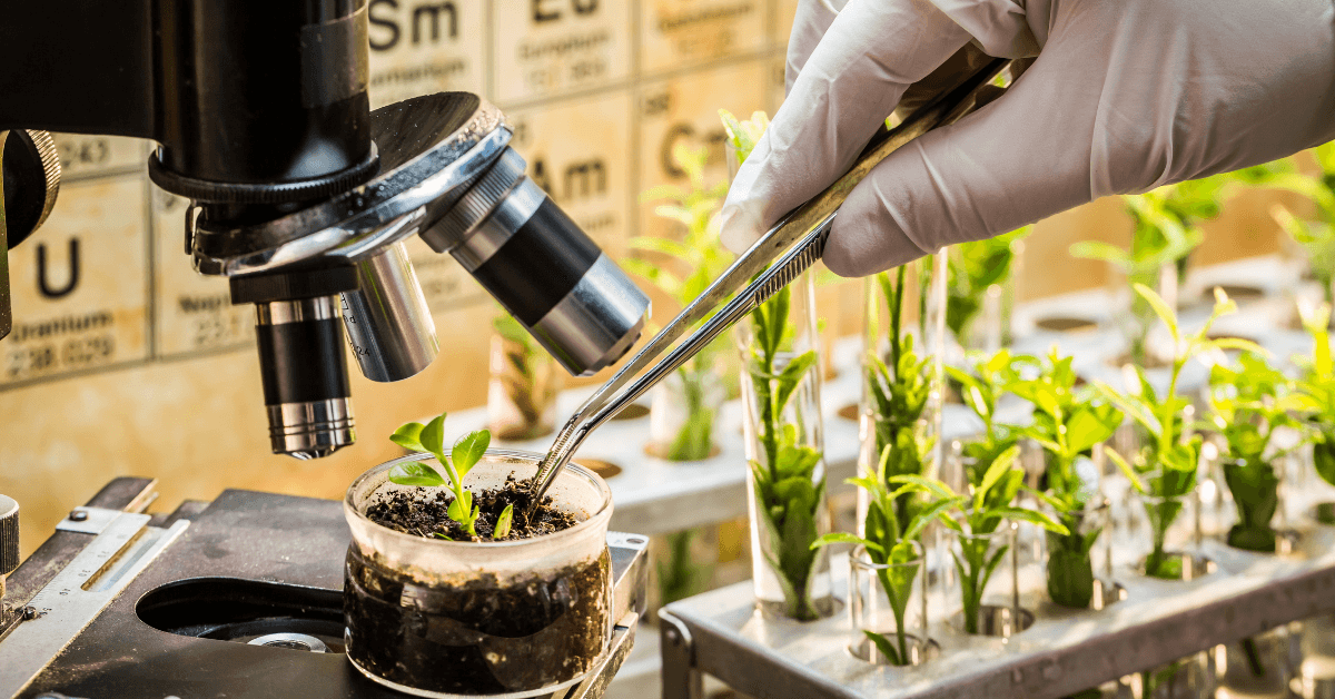Genomic Selection: Unlocking Crop Potential