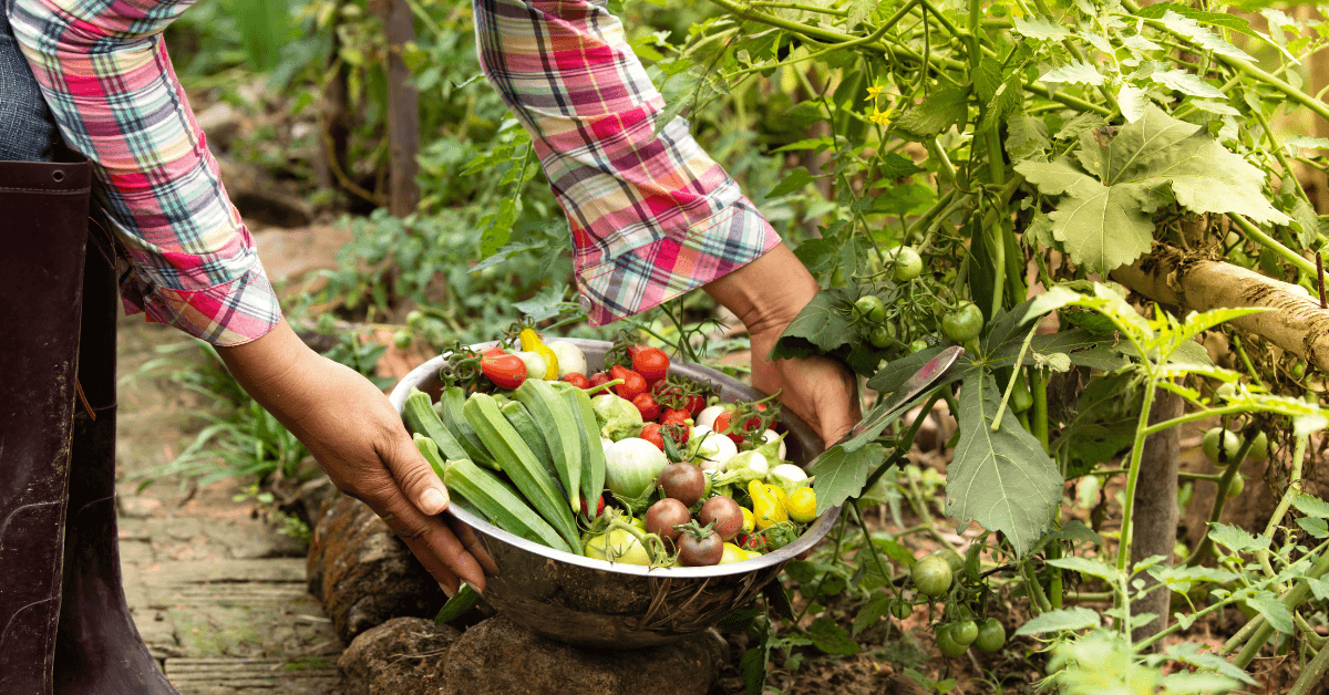 Farmers Market Booth Ideas