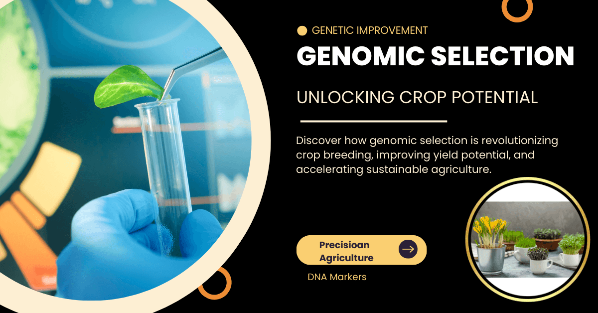 Genomic Selection: Unlocking Crop Potential