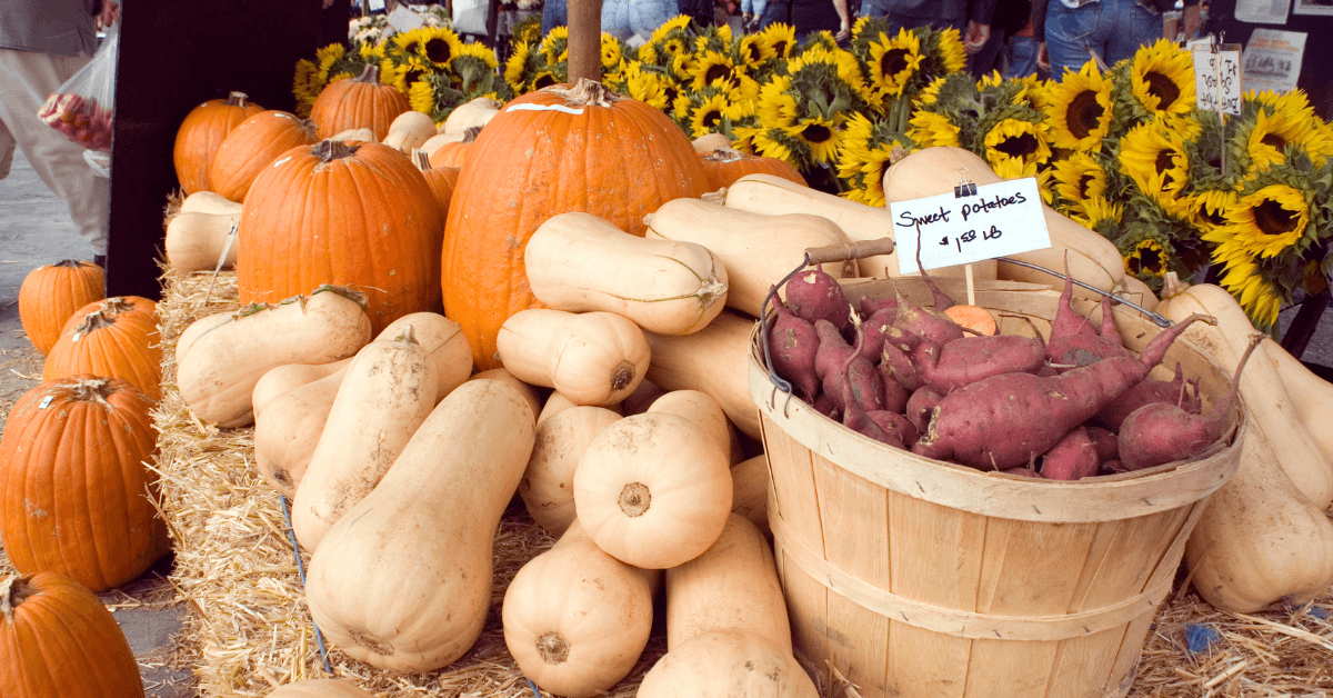 Farmers Market Booth Ideas