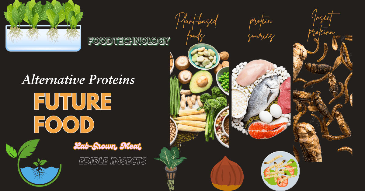Exploring Future Food Alternatives