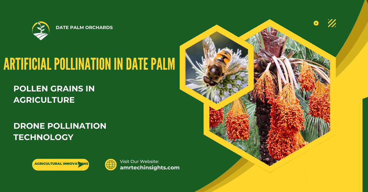 Artificial Pollination in Date Palm