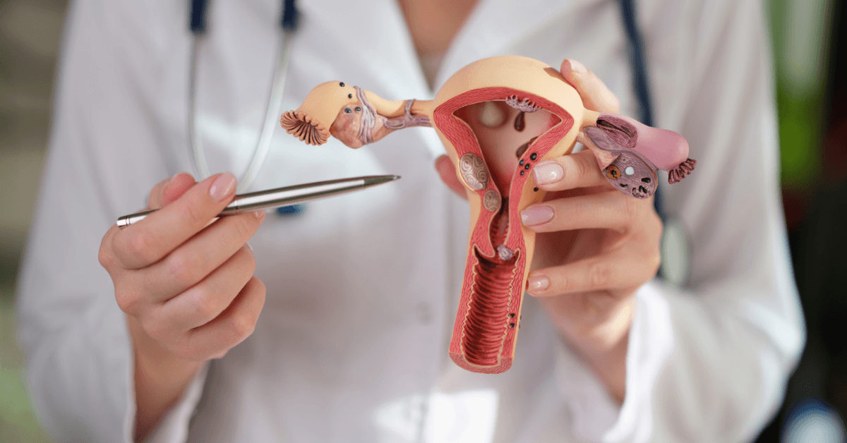 Vaginal Probiotics Benefits: Key Insights