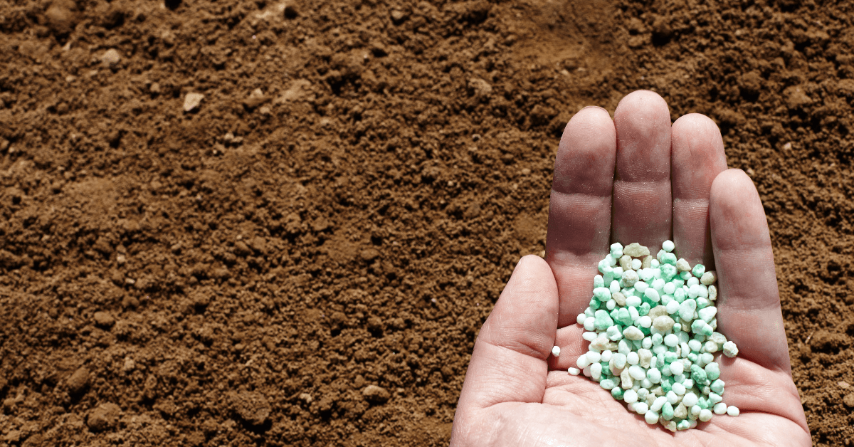 Soil Fertility Management Techniques