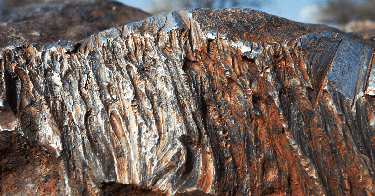 Pallasite Meteorite Scientific Insights
