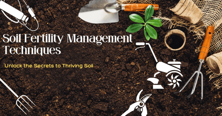 Soil Fertility Management Techniques