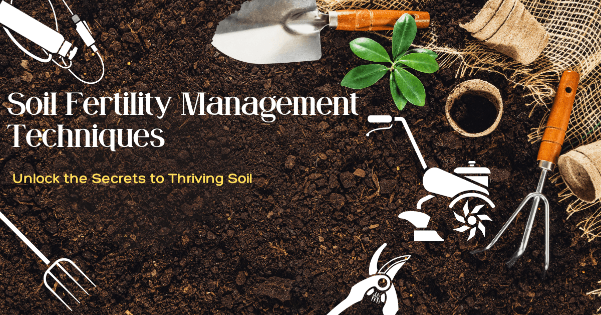 Soil Fertility Management Techniques