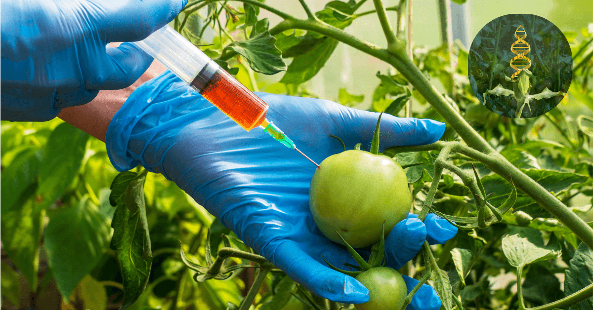 Disease Resistance in Plants