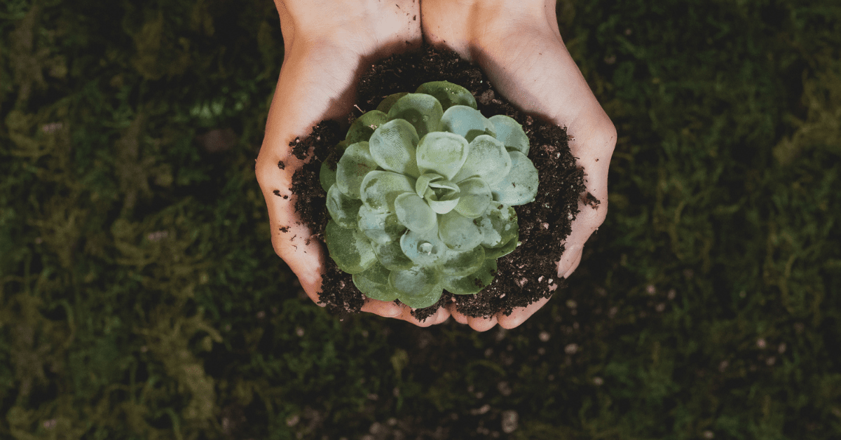 Eco-Friendly Innovations