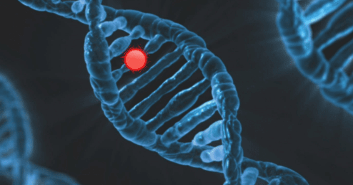 DNA-templated synthesis