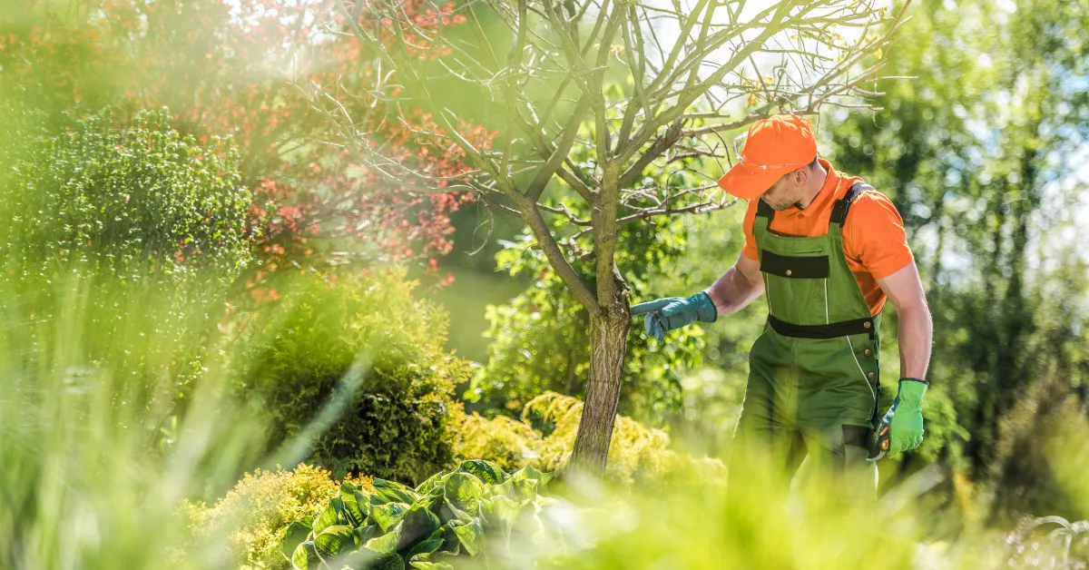 Disease Resistance in Plants
