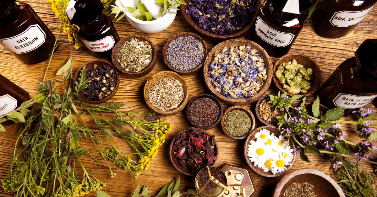 Top Herbal Antivirals for Immunity