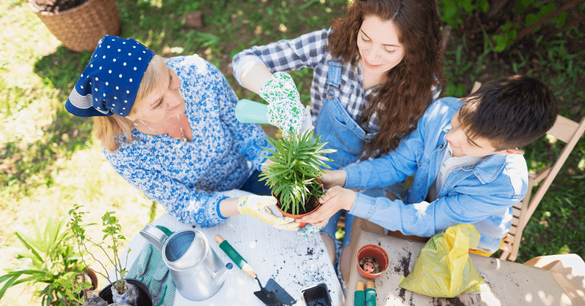 Eco-Friendly Innovations