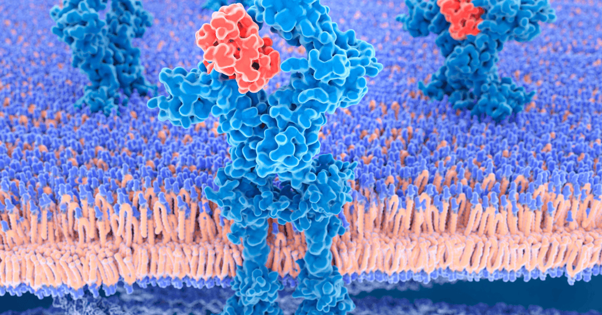 Auxin and Cytokinin Modulation