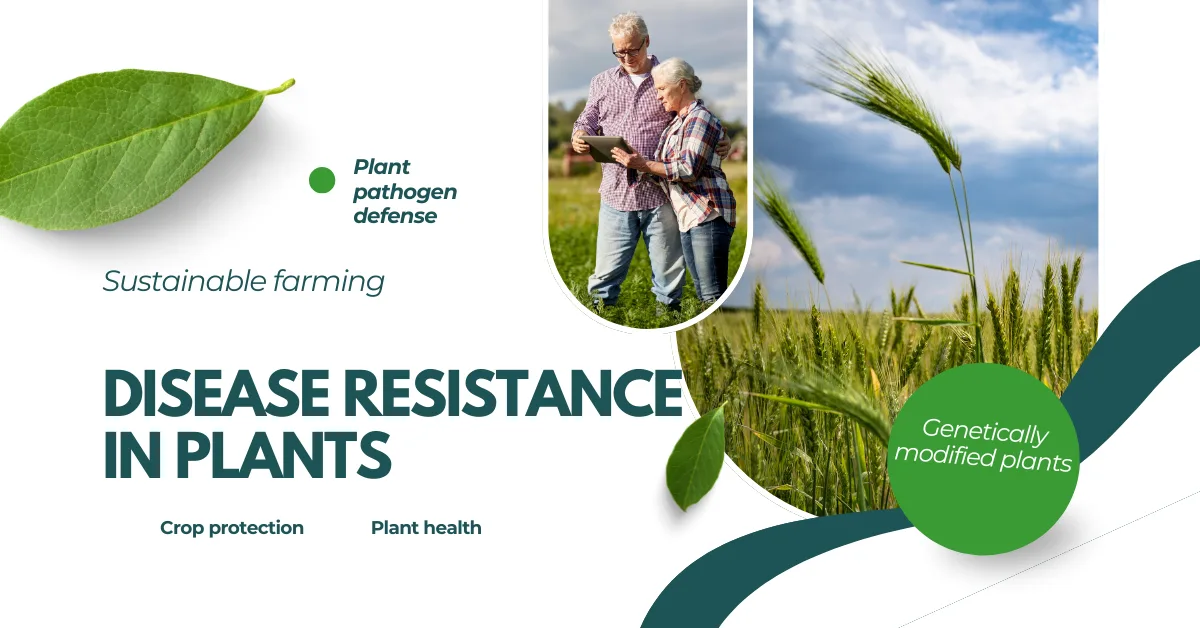 Disease Resistance in Plants