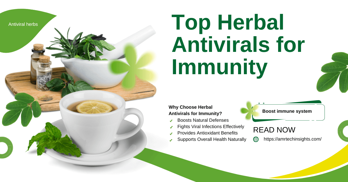 Top Herbal Antivirals for Immunity