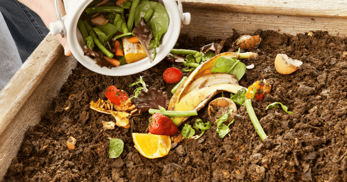 Organic Amendments for Soil