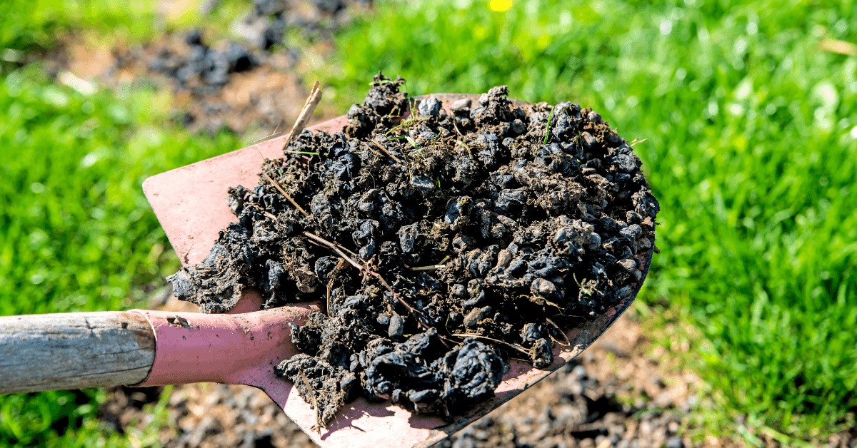 Organic Amendments for Soil