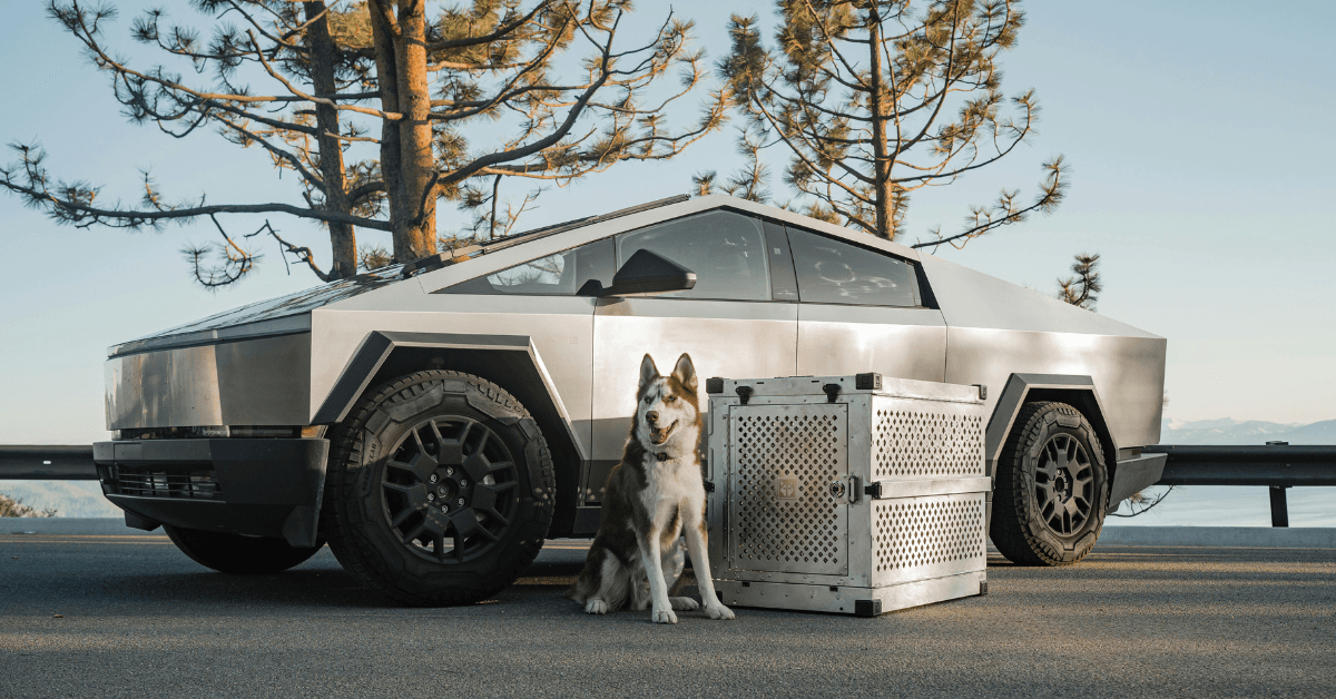 Tesla India Market Research