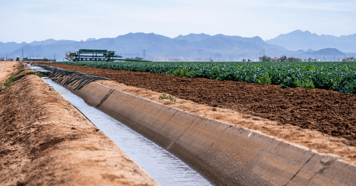 Regenerative Agriculture in Deserts