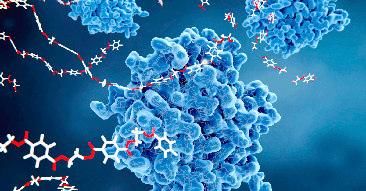 Enzyme-Polymer Conjugates