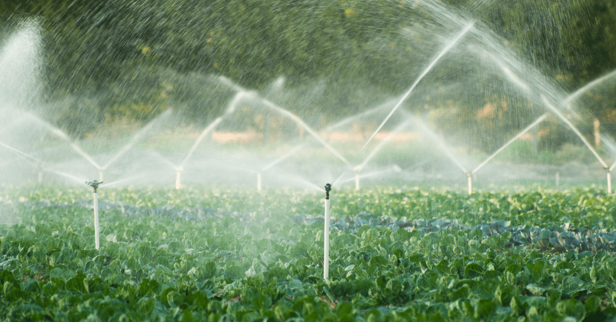 Regenerative Agriculture in Deserts