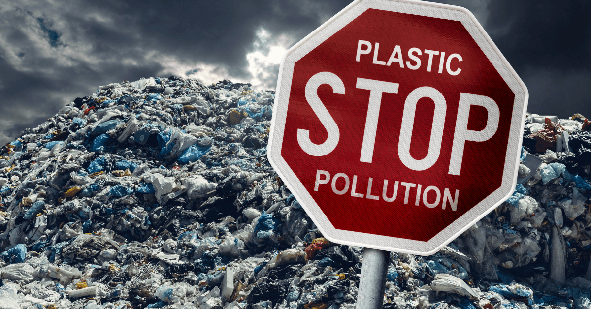 Art & Activism Against Plastic Pollution: Creative Sparks for a Cleaner Future