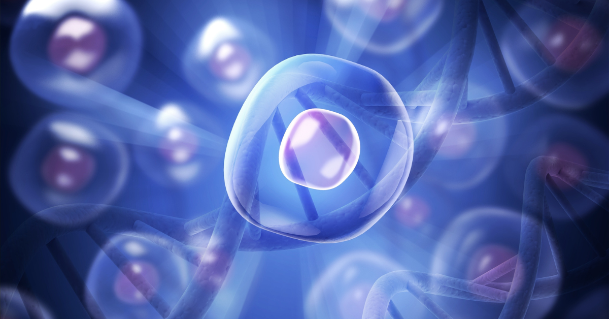 Tissue Engineering Innovations