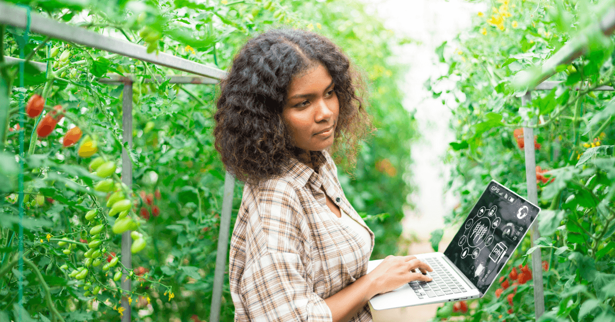 How to Use Data Analytics in Farming