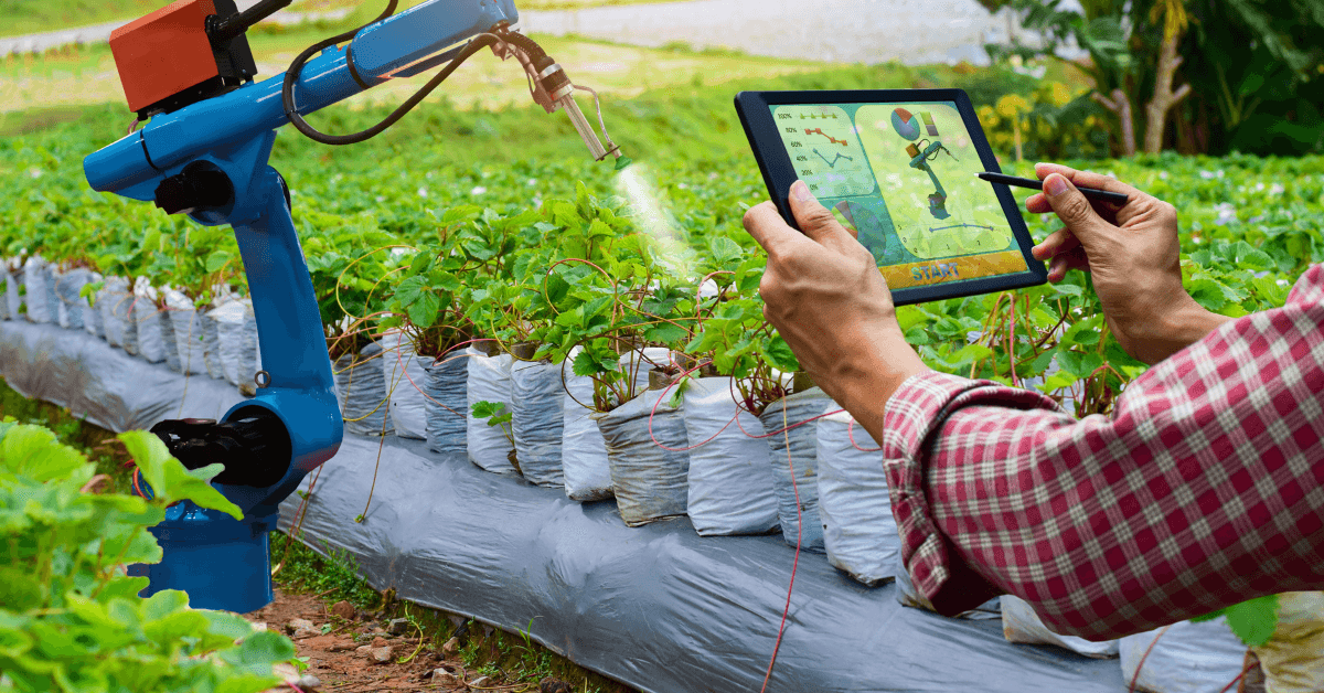AI-Driven Fertilizer Optimization
