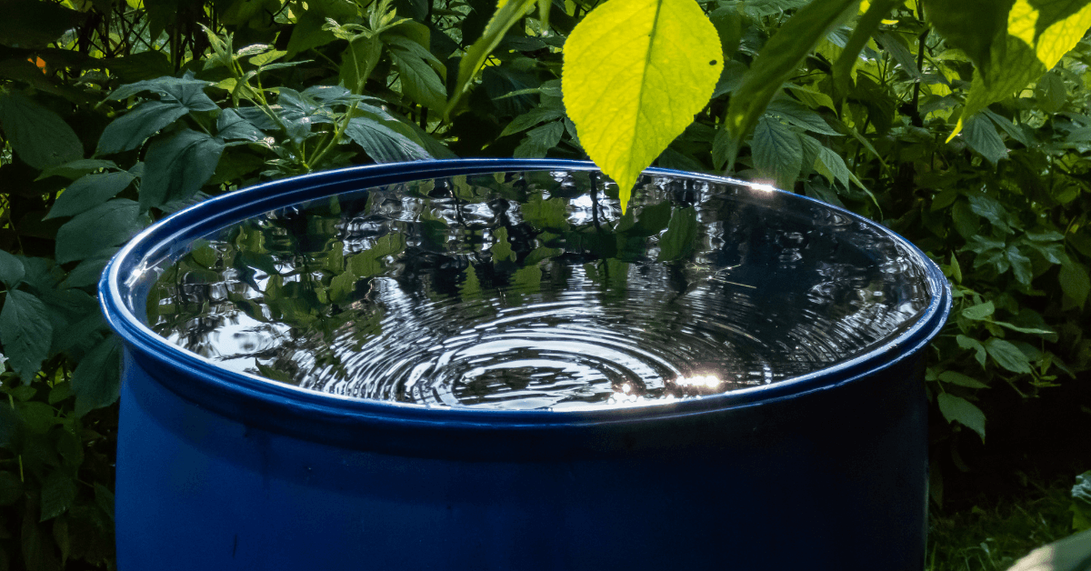 Atmospheric Water Harvesting