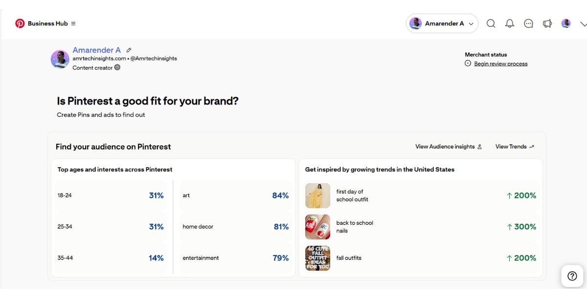 Personal Pinterest account details showing boards and profile metrics